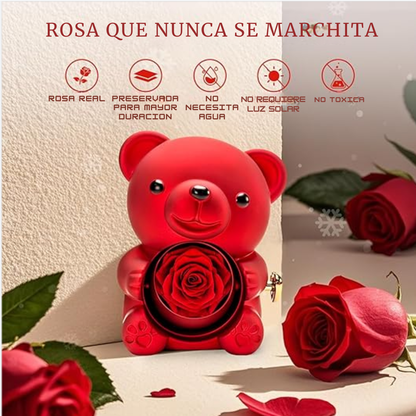 Oso de Amor con Rosa Eterna + Collar