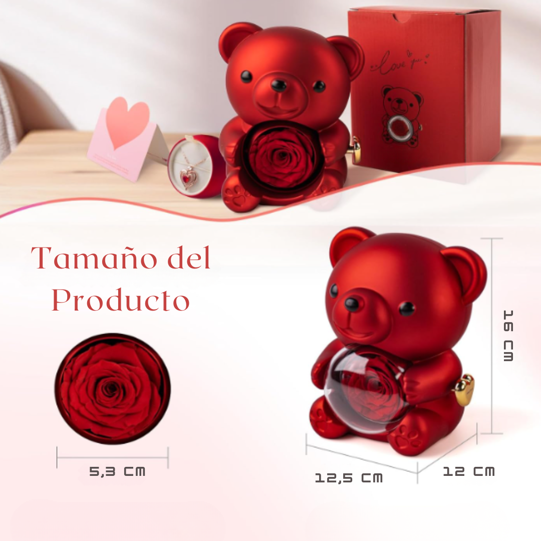 Oso de Amor con Rosa Eterna + Collar