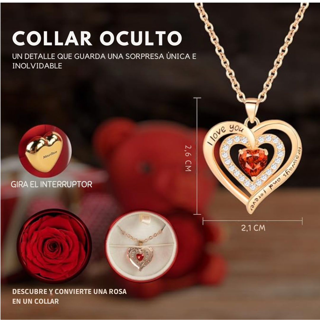 Oso de Amor con Rosa Eterna + Collar